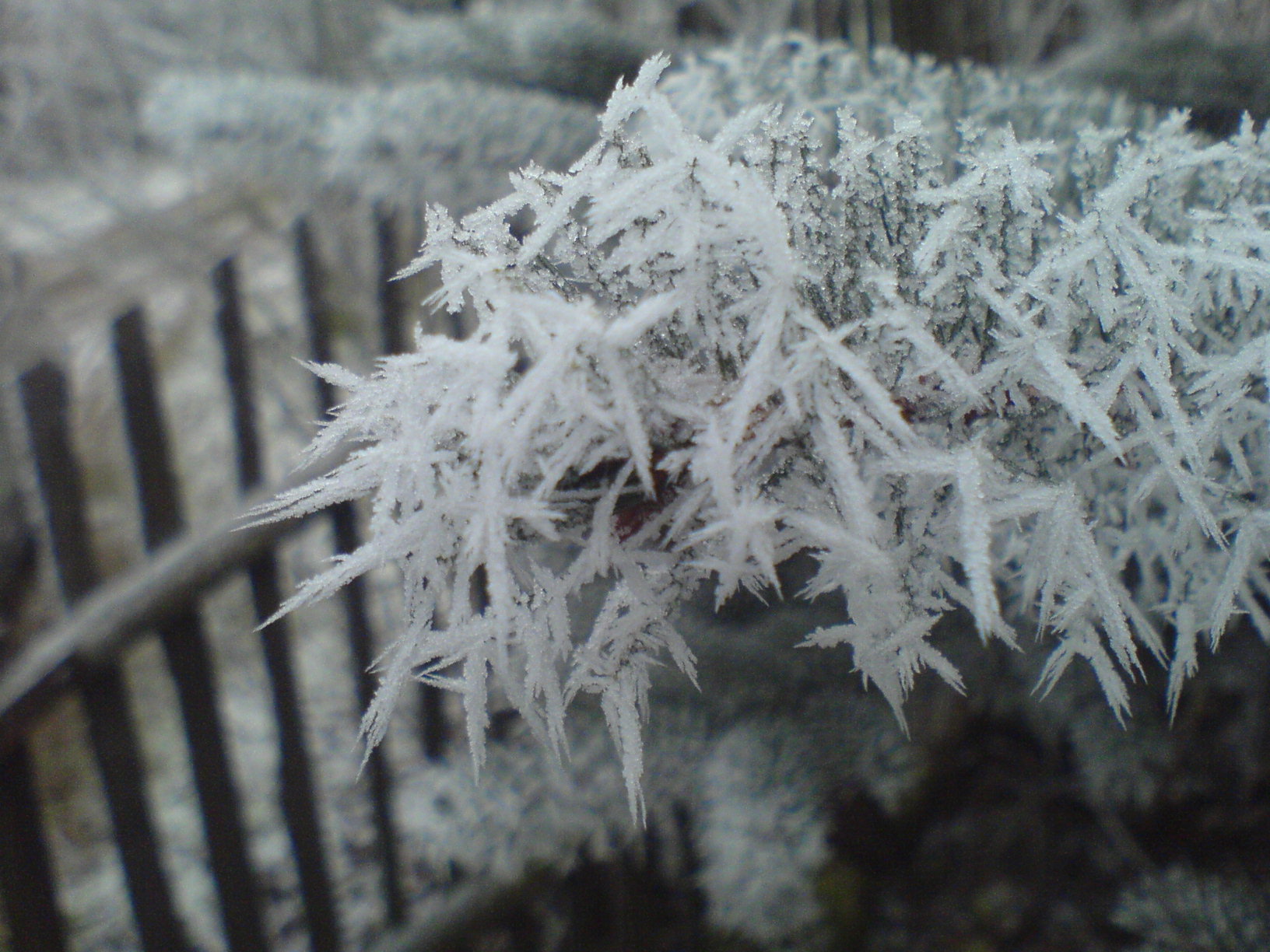 DSC00277.JPG