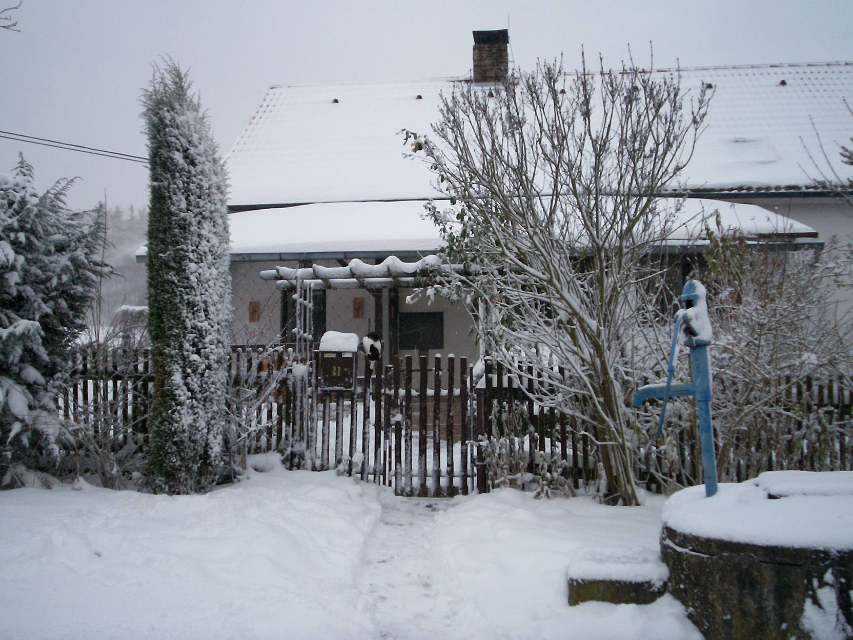 jirka 029.JPG